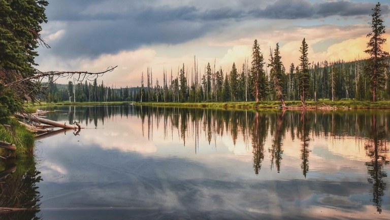 A still lake in Yellowstone reflecting mountains and sky in perfect mirror calm.